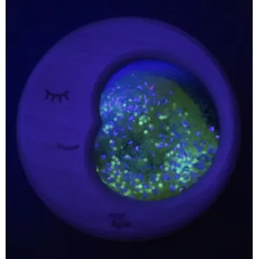 Lune sensorielle