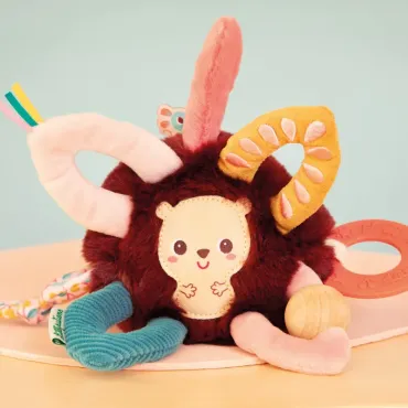 Anneaux sensoriels Léon le hérisson