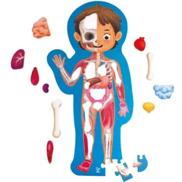 Puzzle corps humain - 60 pièces