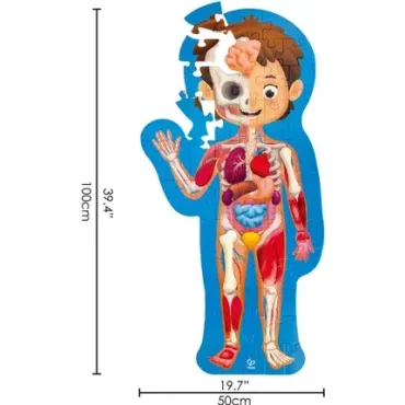 Puzzle corps humain - 60 pièces