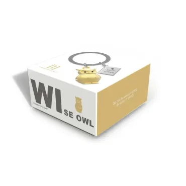 Porte-clés Hibou doré mat avec livre chromé