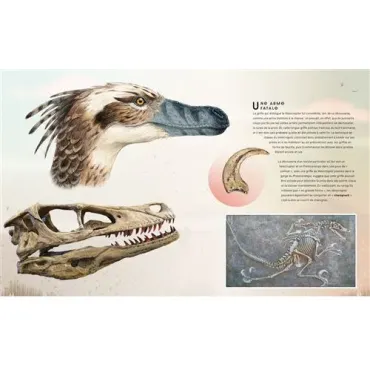 Dicodinos - L'encyclopédie la plus complète de tous les temps