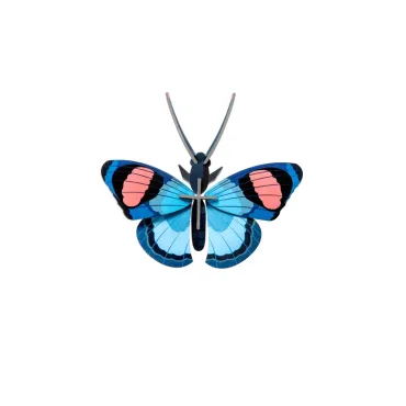 Wall Art - Peacock Butterfly