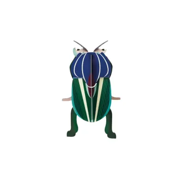 Wall Art - Mimela Scarab Beetle