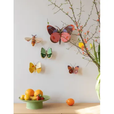 Wall Art - Bellissima Butterfly