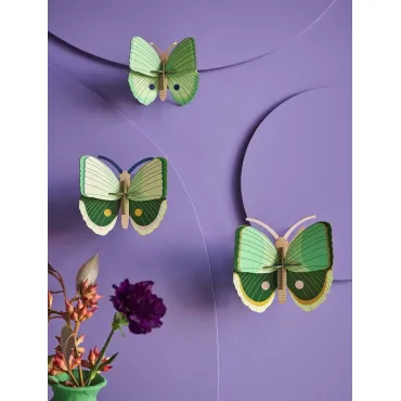 Big Insects - Fern Striped...