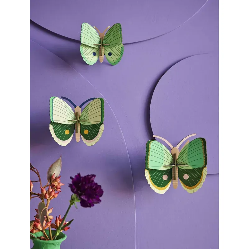 Big Insects - Fern Striped Butterflies - Set of 3