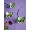 Big Insects - Fern Striped Butterflies - Set of 3
