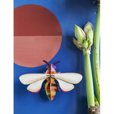 Small Insects - Honey Bee