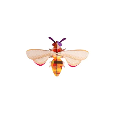 Small Insects - Honey Bee