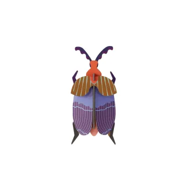 Small Insects - Queen Beetle