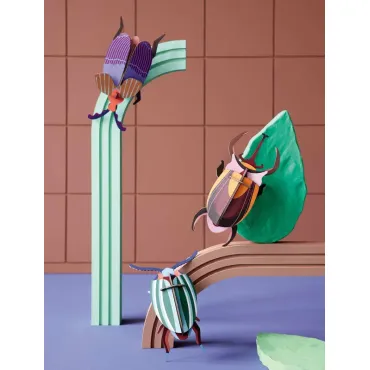 Small Insects - Queen Beetle