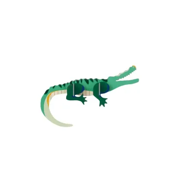 Wall Art - Crocodile