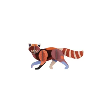 Wall Art - Red Panda