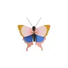 Small Insects - Gold Rim Butterfly 