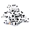 Peluche allongee chien dalmatien leste - Les P'tits Relax - 22 cm