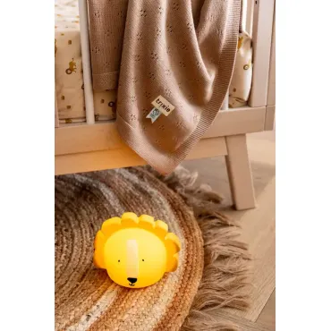 Veilleuse - Mr. Lion 