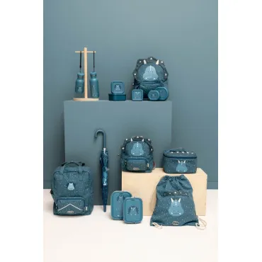 Gourde 500ml - Mr. Triceratops