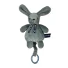 Lapin Dorlotin Boite à musique - Vert Sauge 