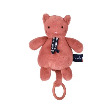 Chat Dorlotin Boite à...