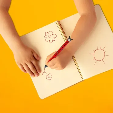 Stylo à Bille à deux Couleurs Ladybug