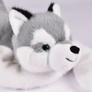 PODCOLL - Husky 50 cm