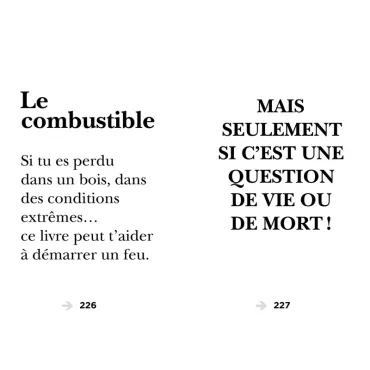 Mes 500 autocollants créatifs - Carnaval