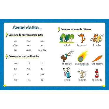 Les Héros du CP - Niveau 1 - Les animaux dingos