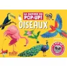 La nature en pop-up - Oiseaux