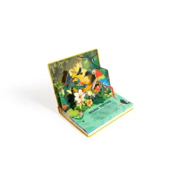 La nature en pop-up - Oiseaux