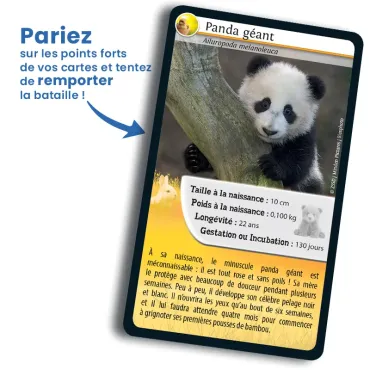 Défis Nature - Bébés animaux