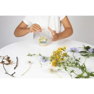 Happy Garden - Verre d'observation