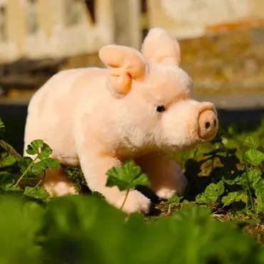 Peluche Cochon domestique - Eco-friendly - 20cm