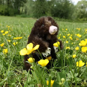 Peluche Taupe - Eco-friendly - 15cm