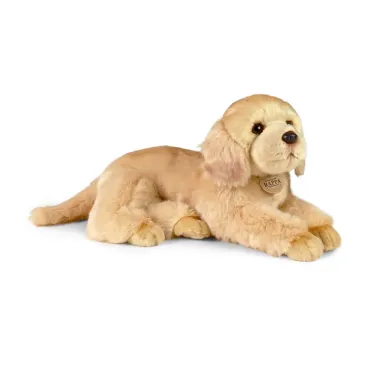 Peluche Golden retriever -...