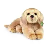 Peluche Golden retriever - Eco-friendly - 32cm