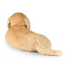 Peluche Golden retriever - Eco-friendly - 32cm