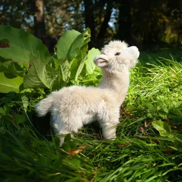 Peluche Lama - Eco-friendly - 23cm