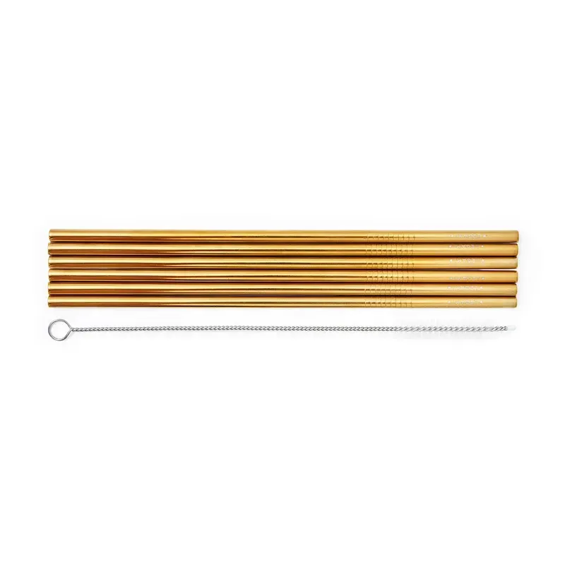 Pailles en Acier Inox