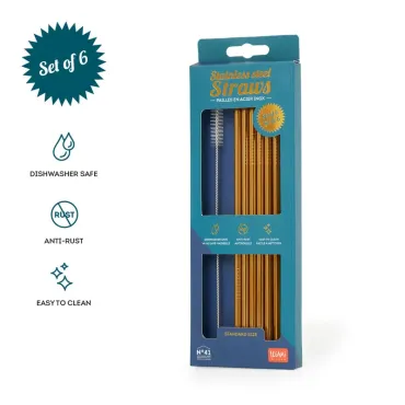 Pailles en Acier Inox