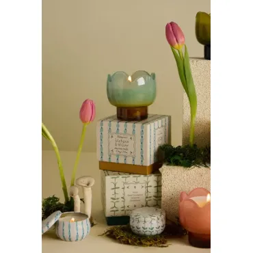 Bougie in a tin - Tulip - Glycine & Saule - 56g