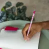 Crayon en Papier Recyclé - Teddy Bear