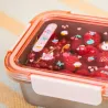 Lunch box Cherche et trouve Jeanne le chat
