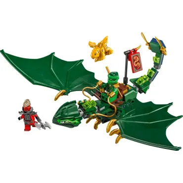 Le dragon vert de la forêt...