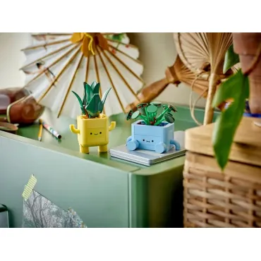 Petites plantes souriantes - Botanicals