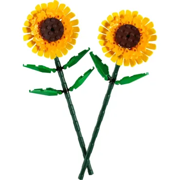 Tournesols - Botanicals