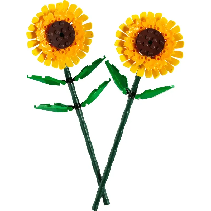 Tournesols - Botanicals