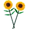 Tournesols - Botanicals