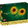 Tournesols - Botanicals