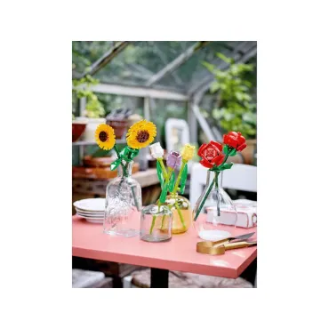 Tournesols - Botanicals